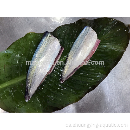 Precio de HGT de caballa de pescado congelado chino para enlatado